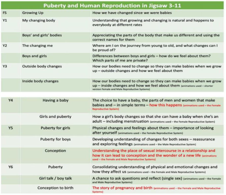 PSHE curriculum Jigsaw