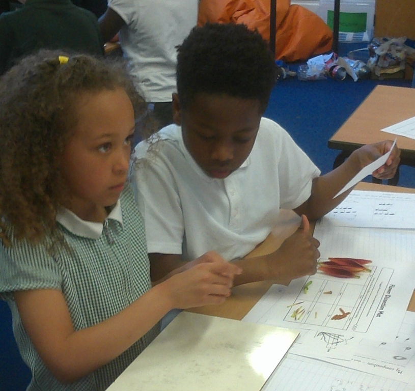 Y3 flower dissection