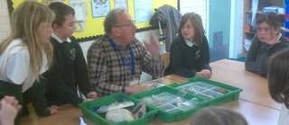 thumbnail Y6 fossils